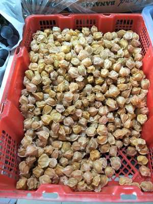 预包装食品,蔬菜,水果,肉,鱼零售,预包装食品,蔬菜,水果,蔬菜,水果,肉 - 太子河区客来悦蔬菜水果超市