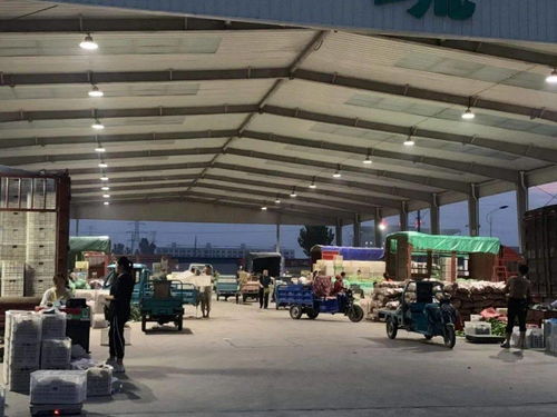 中贸农产品综合批发市场 从基地到市场,蔬菜区一站式采购每日参考价