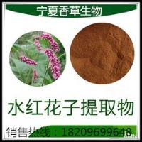 草红花籽 草红花籽价格 报价 草红花籽品牌厂家