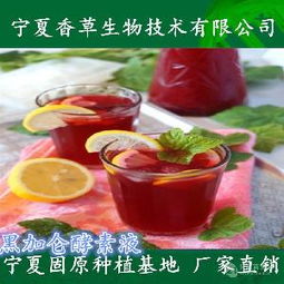 果醋茶产品价格、型号、图片及预包装食品批发零售指南